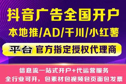 网络推广与竞价策略实战案例